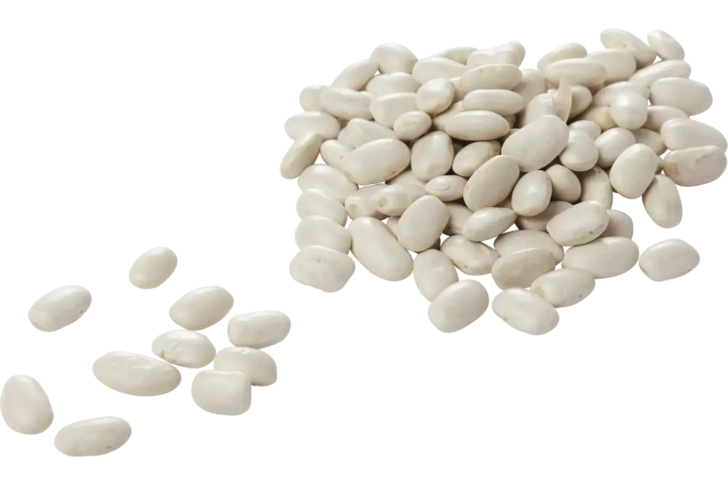 Witte bonen 500gr stuk 1